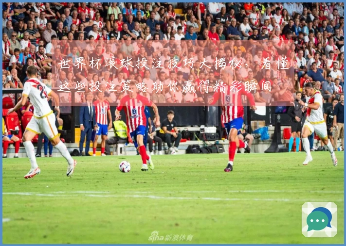 世界杯滚球投注技巧大揭秘，看懂这些投注策略助你赢得精彩瞬间