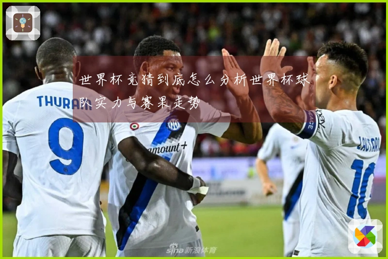 世界杯竞猜到底怎么分析世界杯球队实力与赛果走势
