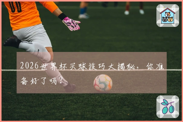 2026世界杯买球技巧大揭秘，你准备好了吗？