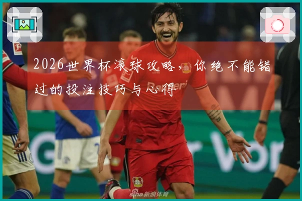 2026世界杯滚球攻略，你绝不能错过的投注技巧与心得
