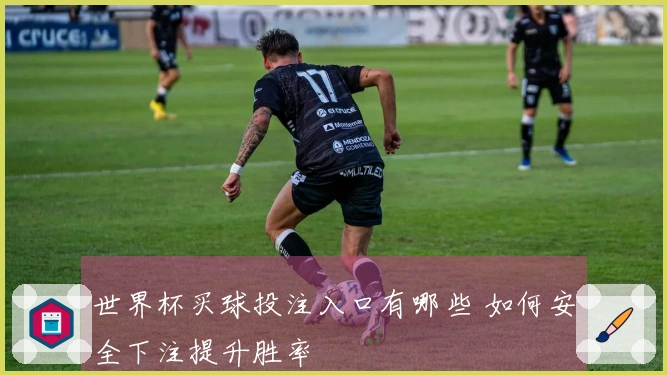 世界杯买球投注入口有哪些 如何安全下注提升胜率