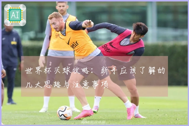世界杯买球攻略：新手应该了解的几大思路与注意事项