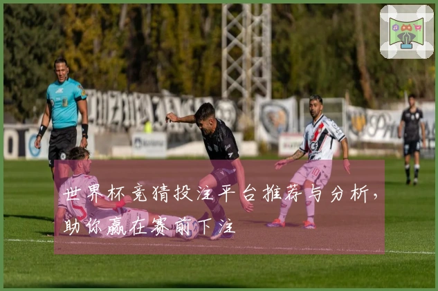 世界杯竞猜投注平台推荐与分析，助你赢在赛前下注