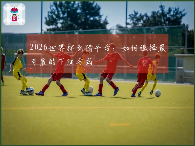 2026世界杯竞猜平台，如何选择最可靠的下注方式